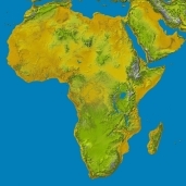 موقع إفريقي: أزمة كورونا في القارة أصبحت أعمق وأكثر تأزماً