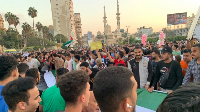 مظاهرات التضامن مع فلسطين