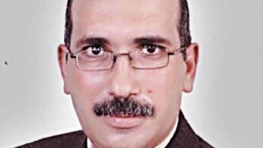 الدكتور عادل عامر، أستاذ القانون العام، رئيس مركز المصريين للدراسات السياسية والاقتصادية والقانونية