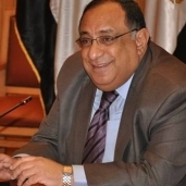 الدكتور  ماجد نجم.. رئيس جامعة حلوان
