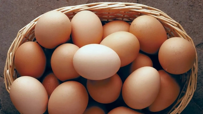 البيض الأحمر في الأسواق
