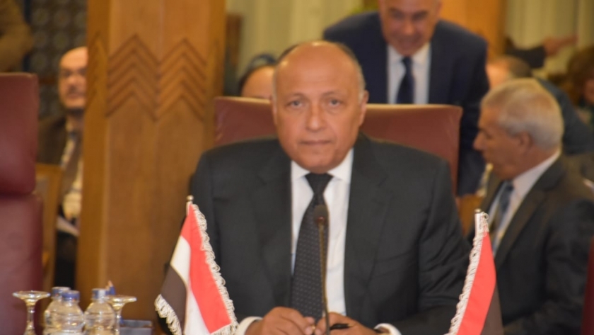 وزير الخارجية يؤكد على موقف مصر الثابت في دعم مساعي إقامة الدولة الفلسطينية