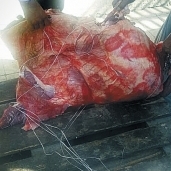 جانب من اللحوم المضبوطة فى مستشفى سوهاج