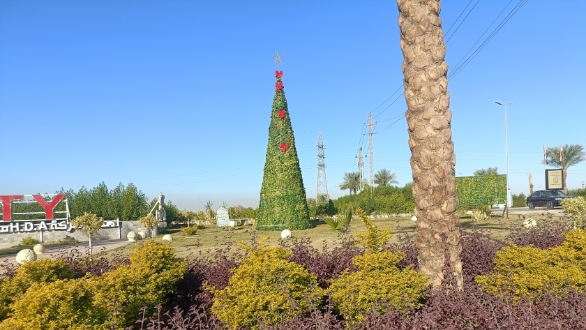 شجرة كريسماس بمحافظة قنا