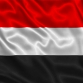 عودة 319 يمنيا من العالقين في مصر