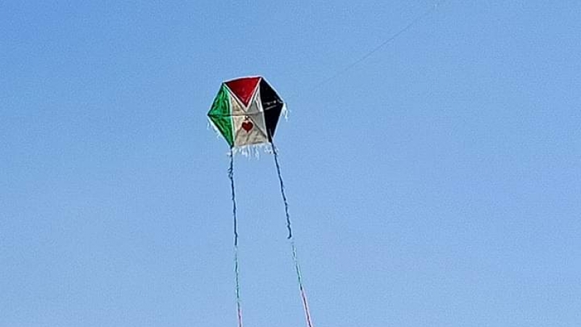 طائرة ورقية على شكل علم فلسطين