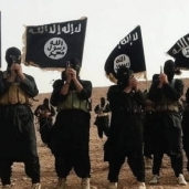 أنصار "داعش" الإرهابي "صورة أرشيفية"