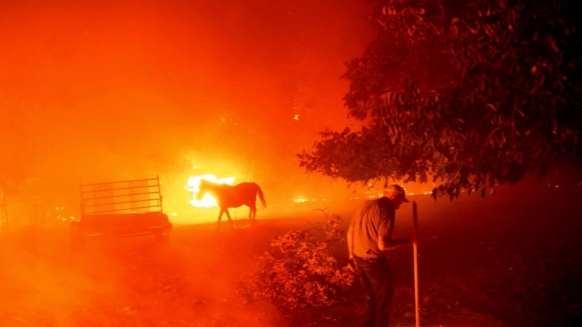مزارع يحاول إنقاذ منزله من حريق كاليفورنيا