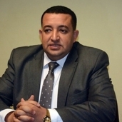 النائب تامر عبدالقادر عضو لجنة الثقافة والإعلام بمجلس النواب