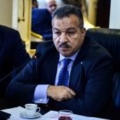 الدكتور محمد العماري رئيس لجنة الصحة بمجلس النواب