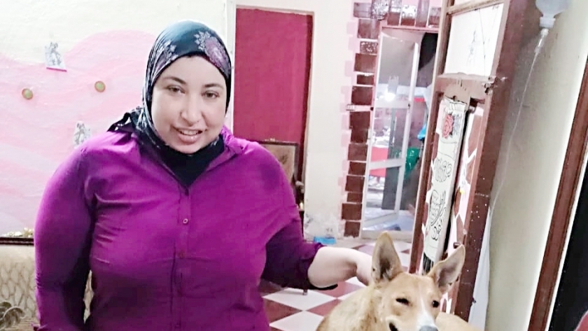 الدكتورة سمر عبدالرحمن أثناء علاج كلب