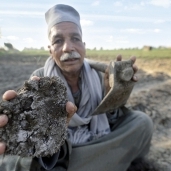 الجفاف يضرب مساحات كبيرة من الأراضى الزراعية بسبب نقص المياه «صورة أرشيفية»