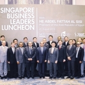 «السيسى» فى لقطة تذكارية مع عدد من رجال أعمال سنغافورة بعد لقائه بهم
