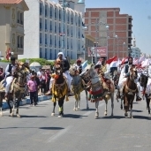 الخيول العربية وفرسان مطروح بشكل بارز خلال إحتفالات مطروح بعيدها القومى