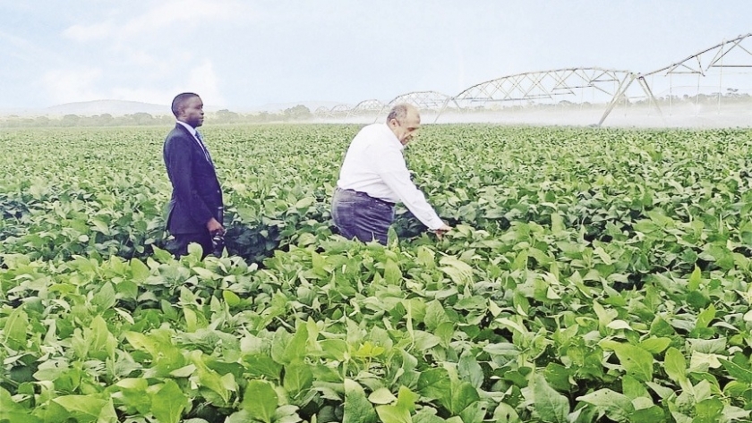 أحد المشروعات الزراعية المصرية في الدول الأفريقية