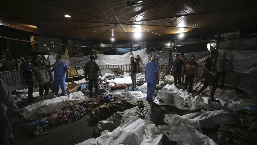 ضحايا القصف على غزة