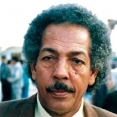 الشاعر محمد أبو دومة