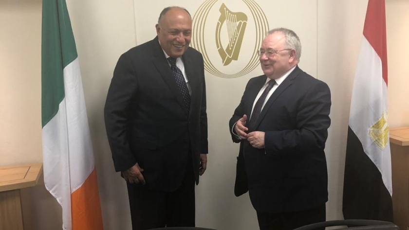 شكري يلتقي رئيس البرلمان الأيرلندي