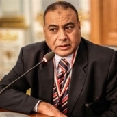 نائب أسوان محمد سليم