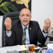 النائب أحمد صبور، أمين سر لجنة الإدارة المحلية والإسكان والنقل بمجلس الشيوخ