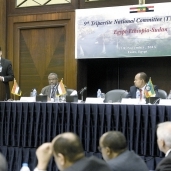 وزير الرى السودانى: أعمال «سد النهضة» لن تنتهى قبل 5 سنوات