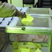 انتخابات نقابة الصحفيين الفرعية في الإسكندرية