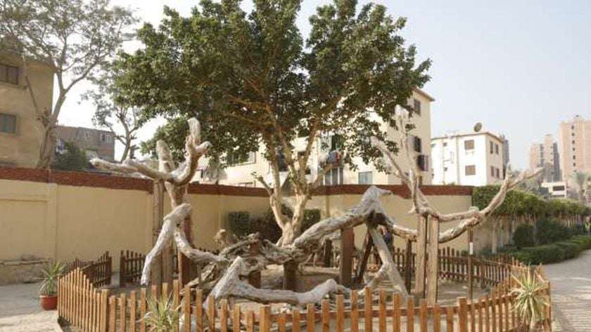 أعمال تطوير مزار شجرة مريم