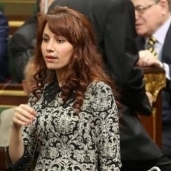 النائبة دينا عبدالعزيز، عضو مجلس النواب