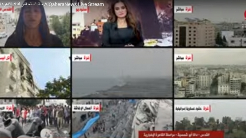 مراسلة القاهرة الإخبارية دانا أبو شمسية