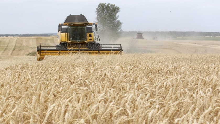صراع روسي أمريكي حول القمح الأوكراني