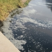 تلوث المياه بالبحيرة