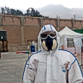 مصر خالية من «المبيدات المُسرطنة» خلال شهور