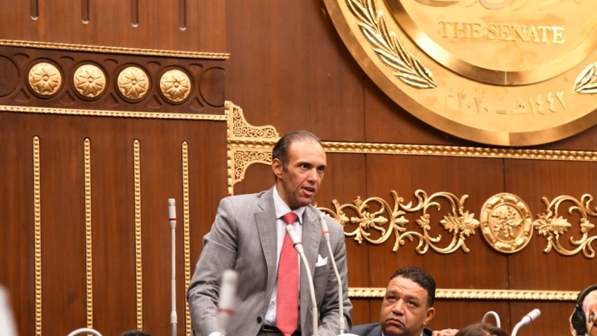محمد فريد، عضو مجلس الشيوخ عن تنسيقية شباب الأحزاب والسياسيين