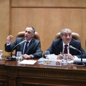 اجتماع لجنة الشئون الاقتصادية لمجلس النواب بحضور طارق عامر