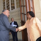 وزير الخارجية يبحث التنسيق مع كينيا خلال رئاسة مصر للاتحاد الإفريقي