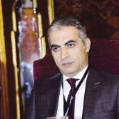 السفير ناصر الشوربجى