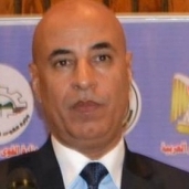 عادل حنفي نائب رئيس الاتحاد العام للمصريين بالخارج