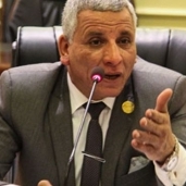 النائب عبد الفتاح محمد عبد الفتاح، عضو مجلس النواب