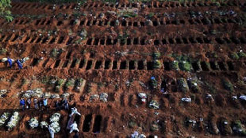 مقبرة جماعية في البرازيل لضحايا فيروس كورونا