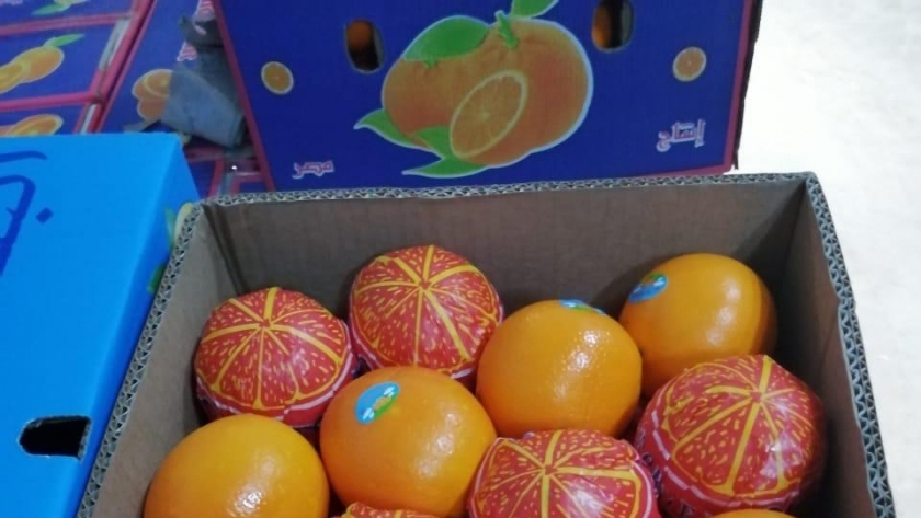 البرتقال المصري