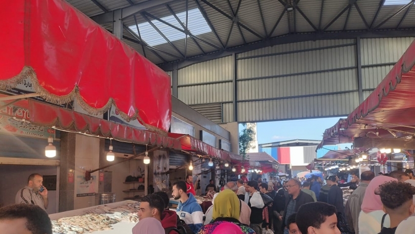 سوق السمك الجديد ببورسعيد 