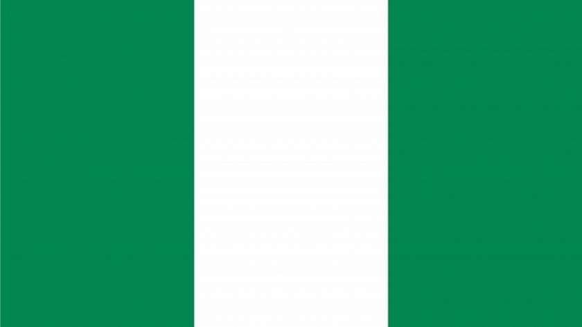 نيجيريا تفرج عن مئات يشتبه بأنهم من "بوكو حرام"