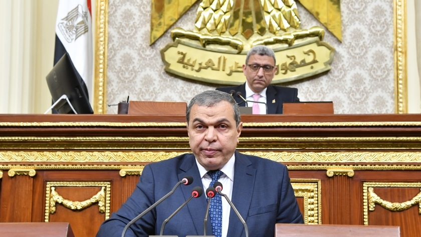 محمد سعفان وزير القوى العاملة بالجلسة العامة لمجلس النواب
