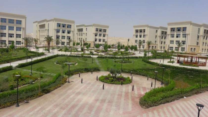 جامعة المنيا الأهلية