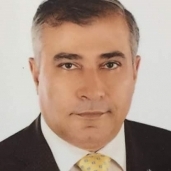 الدكتور عبد الباسط صالح رئيس مؤتمر صدر المنصورة