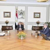 «السيسى» أثناء الاجتماع مع رئيس الوزراء ووزير المالية