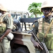 الجنود في مالي