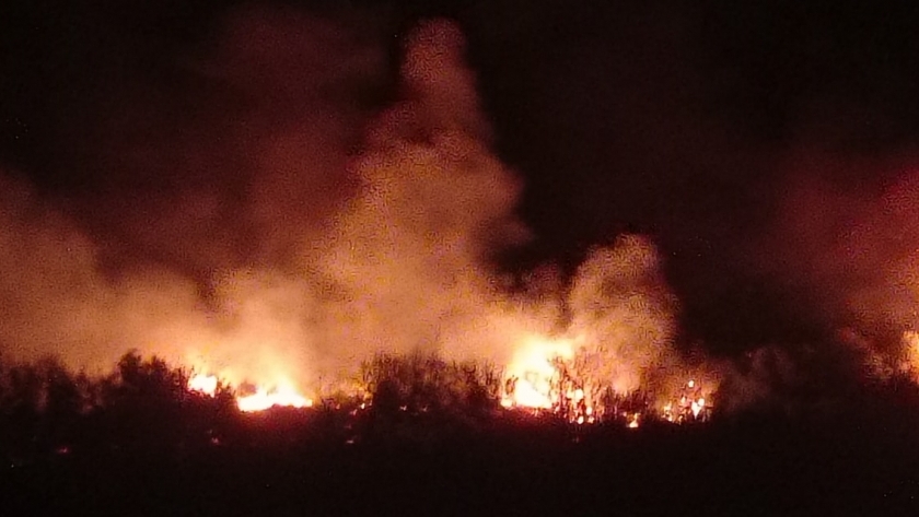 حريق في غابة الناظور شمال تونس
