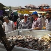 بالصور| ضبط طن ونصف أسماك فاسدة بالعاشر من رمضان