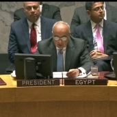 ممثل مصر فى الأمم المتحدة خلال إلقاء كلمته